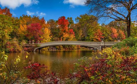 U.S.A. Our November Candle of the Month