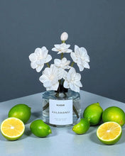 Load image into Gallery viewer, KALAMANSI Floral Diffuser